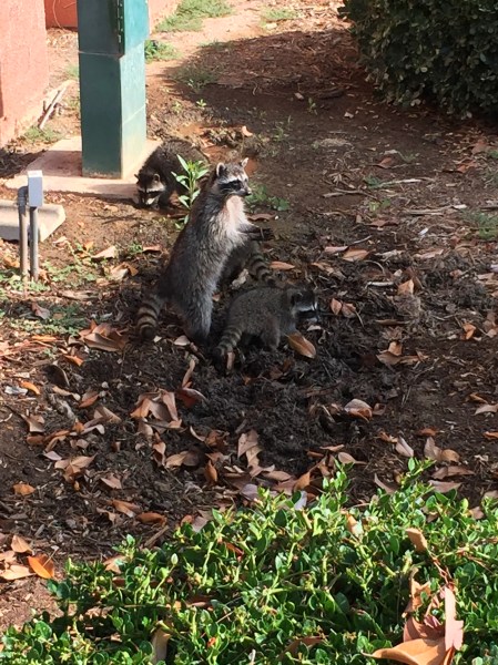 2019-06-28 08.24.01 HDR